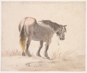 マウンドに立つ馬 作： Cornelis Saftleven