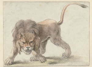 ライオン 作： Cornelis Saftleven