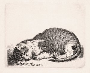 眠る猫、1607-81年頃 作： Cornelis Saftleven