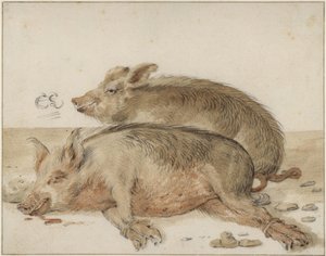 2頭の豚 作： コルネリス・サフレベン