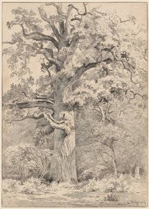森の端にある巨大なオーク 作： Cornelis Steffelaar