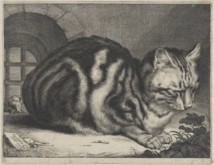 大きな猫 作： Cornelis Visscher (II)
