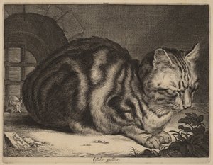 大きな猫