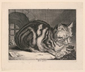 大きな猫 作： Cornelis Visscher