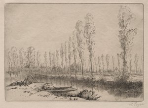 アミアン近郊、ピートボグ 作： Cornelis de Visscher