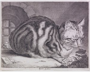 大きな猫 作： Cornelis de Visscher