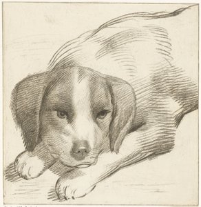 横たわっている犬 作： Cornelis van Noorde