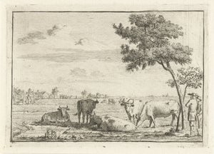 牧草地で 5 頭の牛 作： Cornelis van Noorde