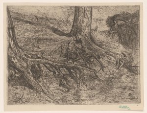 木の根 作： Cornelis van Steenwijk