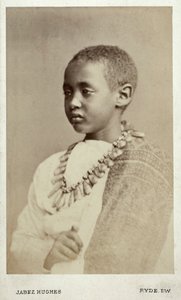 テオドール2世皇帝の息子であるアラマユ王子、ライド、イギリス、1868年（アルブメンプリント） 作： Cornelius Jabez Hughes