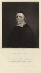 ウィリアム・ハーベイ 作： Cornelius Janssen van Ceulen