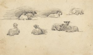 羊の研究 作： Cornelius Varley