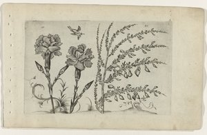 トゥイナンジャー・エン・ブレム ユリを知る（連載タイトル） 作： Crispijn van de Passe (I) (attributed to)