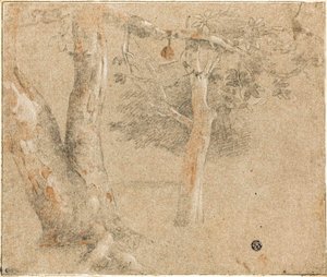 木のスケッチ 作： Cristofano Allori