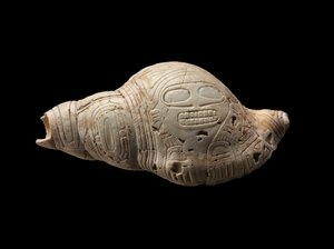 刻まれた巻き貝の殻 作： Culture Taino