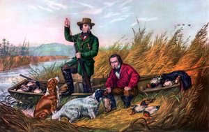 ワイルドダックシューティング、1854年。