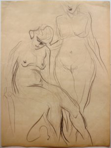 2つの女性のヌード