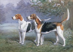 風景の中の雌犬と犬の猟犬 作： Cuthbert Bradley
