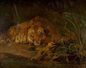 虎と獲物、1931年。