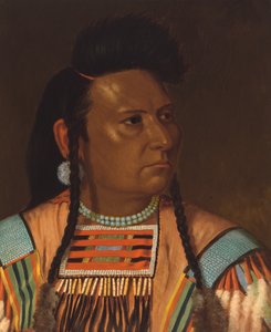 ジョセフ酋長、1878 年 6 月。 作： Cyrenius Hall