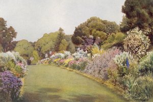 オズボーンのスイスコテージの芝生の国境（カラーリソ）