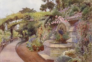 The Time of Roses、ファウンテン テラス、ノーマン タワー ガーデン (カラー リソ) 作： Cyril Ward