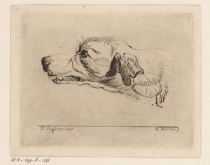 犬の頭