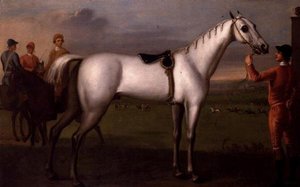 グレーの競走馬を抱える花婿 作： D. Quigley