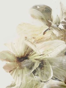  作： Dan Hobday