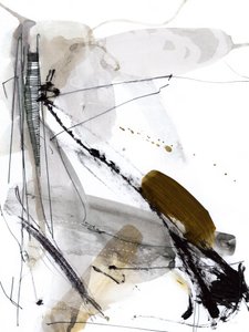  作： Dan Hobday