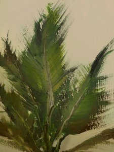  作： Dan Hobday