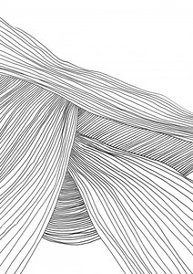 波 作： Dan Hobday