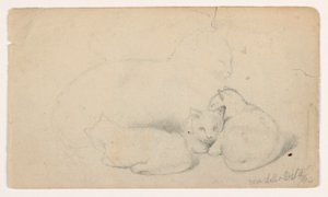 デッサン、猫と3匹の子猫；裏面：アラブ人男性が座って男性を受けている、デイヴィッド・ロバーツの後と思われる、1844年