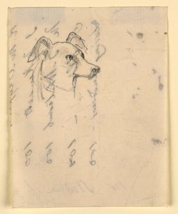 素描、犬の頭部、おそらくミロ（ポインター）、1862年頃