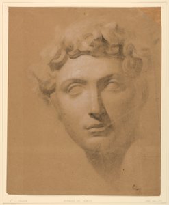 素描、石膏からの男性頭部、1840年 作： Daniel Huntington