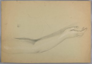ドローイング、「C」の複製のための習作、1850年