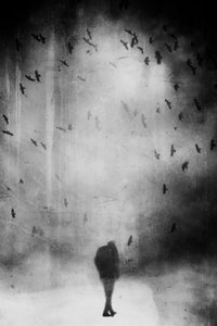  作： Daniela Riegler