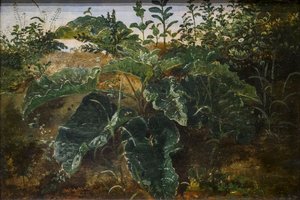 ドックの葉を使った前景の研究