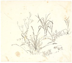 草