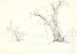大きな樫の木のある風景、テレビ いくつかの家 作： Dankvart Dreyer