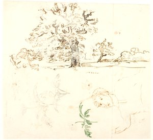 ナラ、キンポウゲの葉などの研究 作： Dankvart Dreyer
