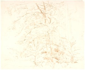 木材研究 作： Dankvart Dreyer