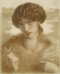 「ウォーターウィロー」のための研究、1871 作： Dante Gabriel Charles Rossetti