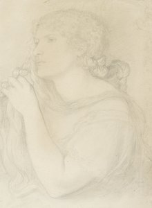 ファニー・コーンフォースの研究、1863 作： Dante Gabriel Charles Rossetti