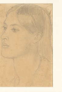 女性の頭 作： Dante Gabriel Rossetti (attributed to)