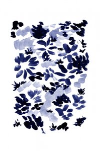  作： Danushka Abeygoda