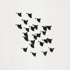 ミニマルな鳥たちの飛行 作： Danushka Abeygoda
