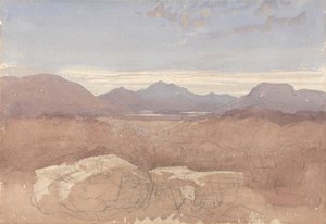  作： David Cox