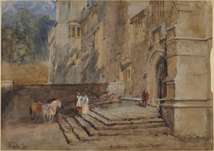  作： David Cox