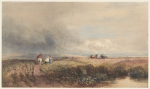  作： David Cox